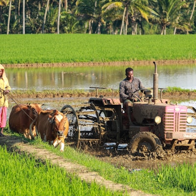 Tracteur agricole